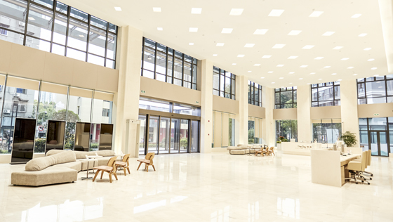 失独助孕,​睾酮偏高怎么办